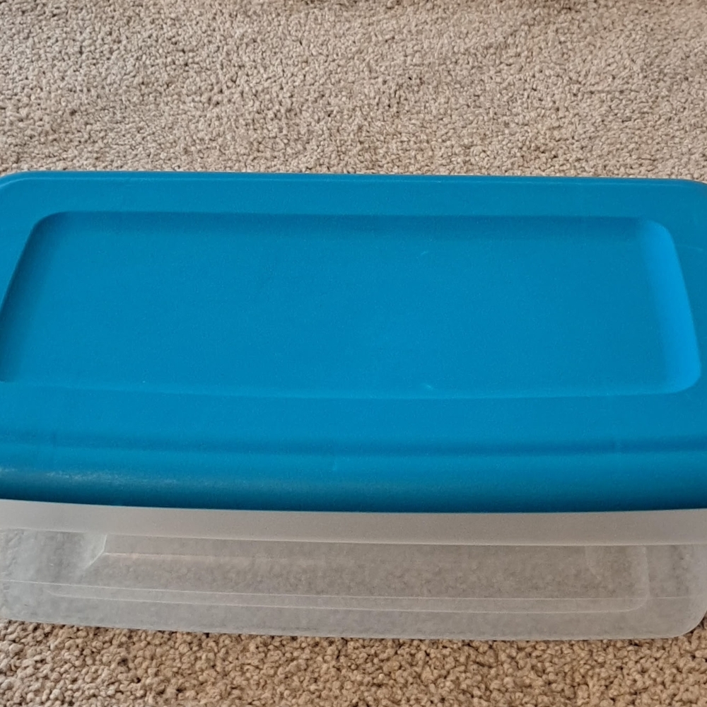 21 Sterilite Clear Storage Bins